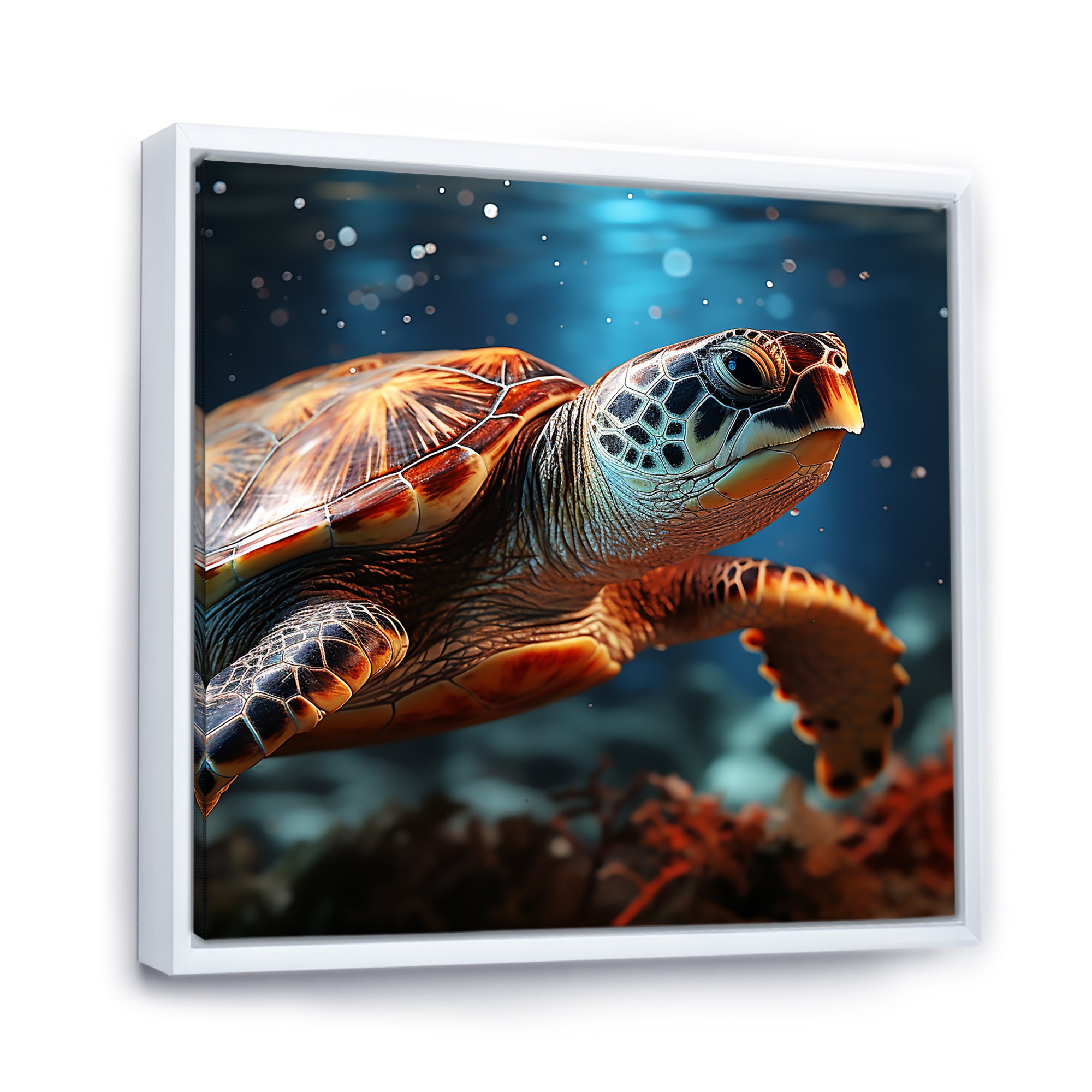 Abstract Harmony - Turtle Bedroom Wall Art