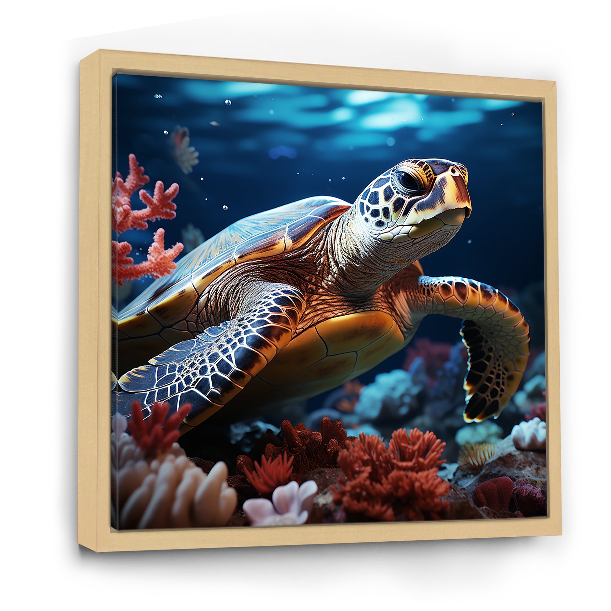 Abstract Serenity - Turtle Framed Canvas Art