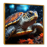 Abstract Swim - Turtle Home Decor Art