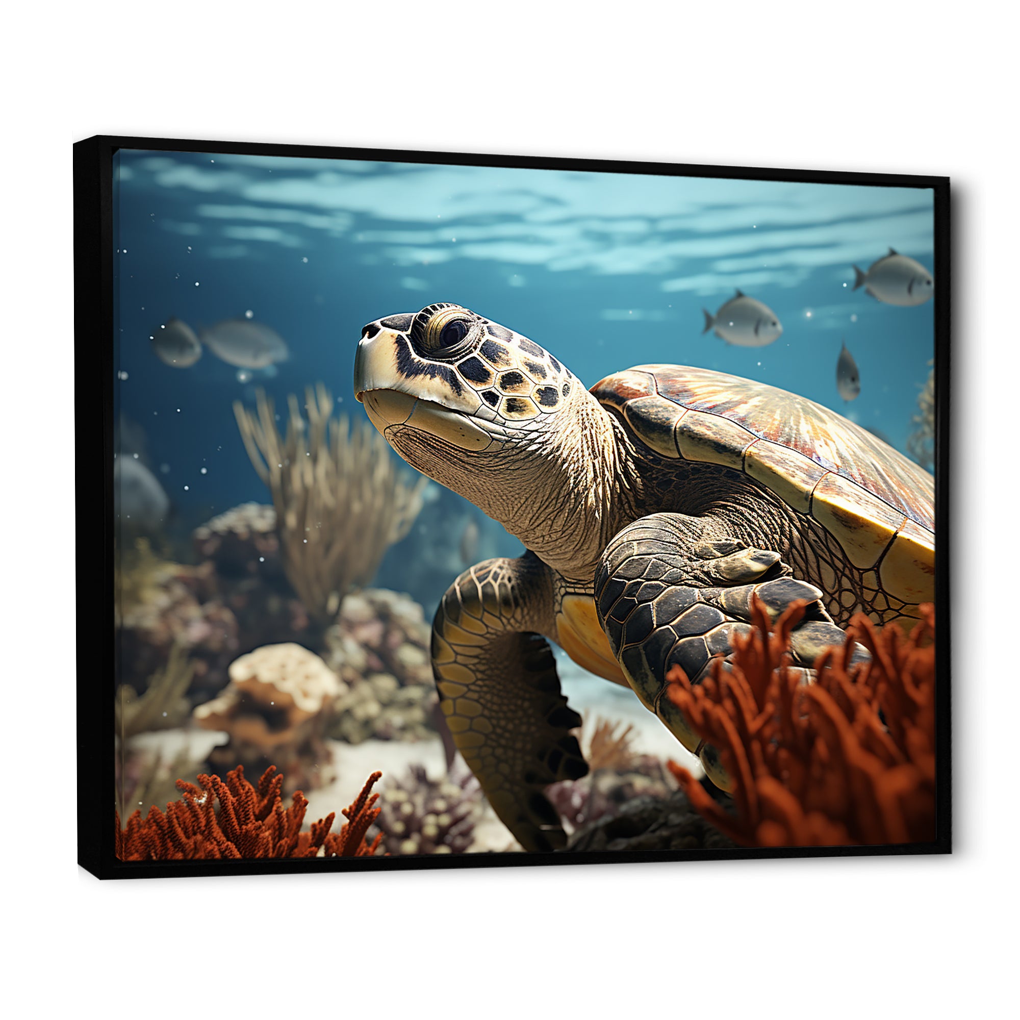 Classic Coastal Life - Turtle Wall Art Prints