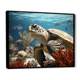 Classic Coastal Life - Turtle Wall Art Prints