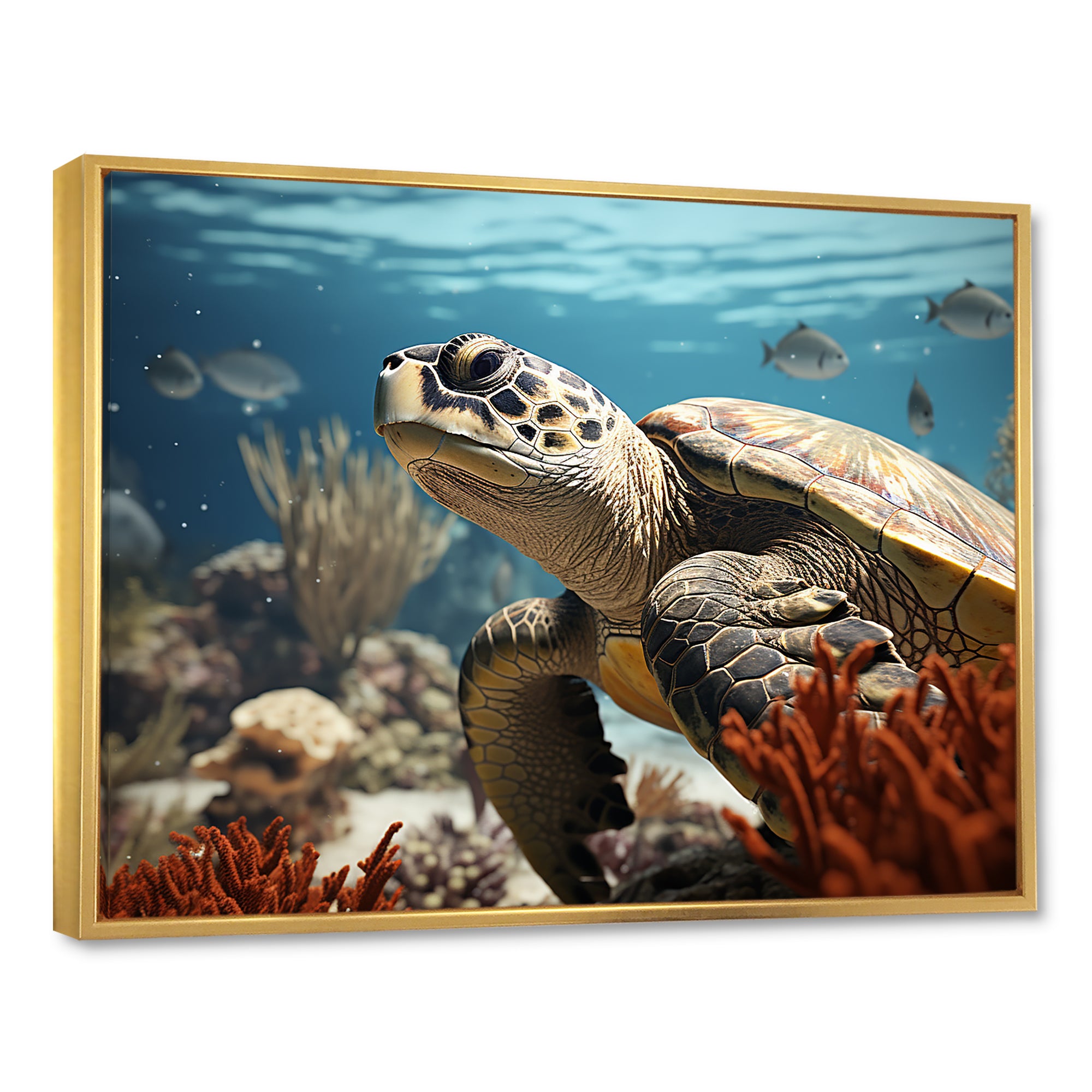 Classic Coastal Life - Turtle Wall Art Prints