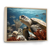 Classic Coastal Life - Turtle Wall Art Prints