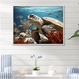 Classic Coastal Life - Turtle Wall Art Prints