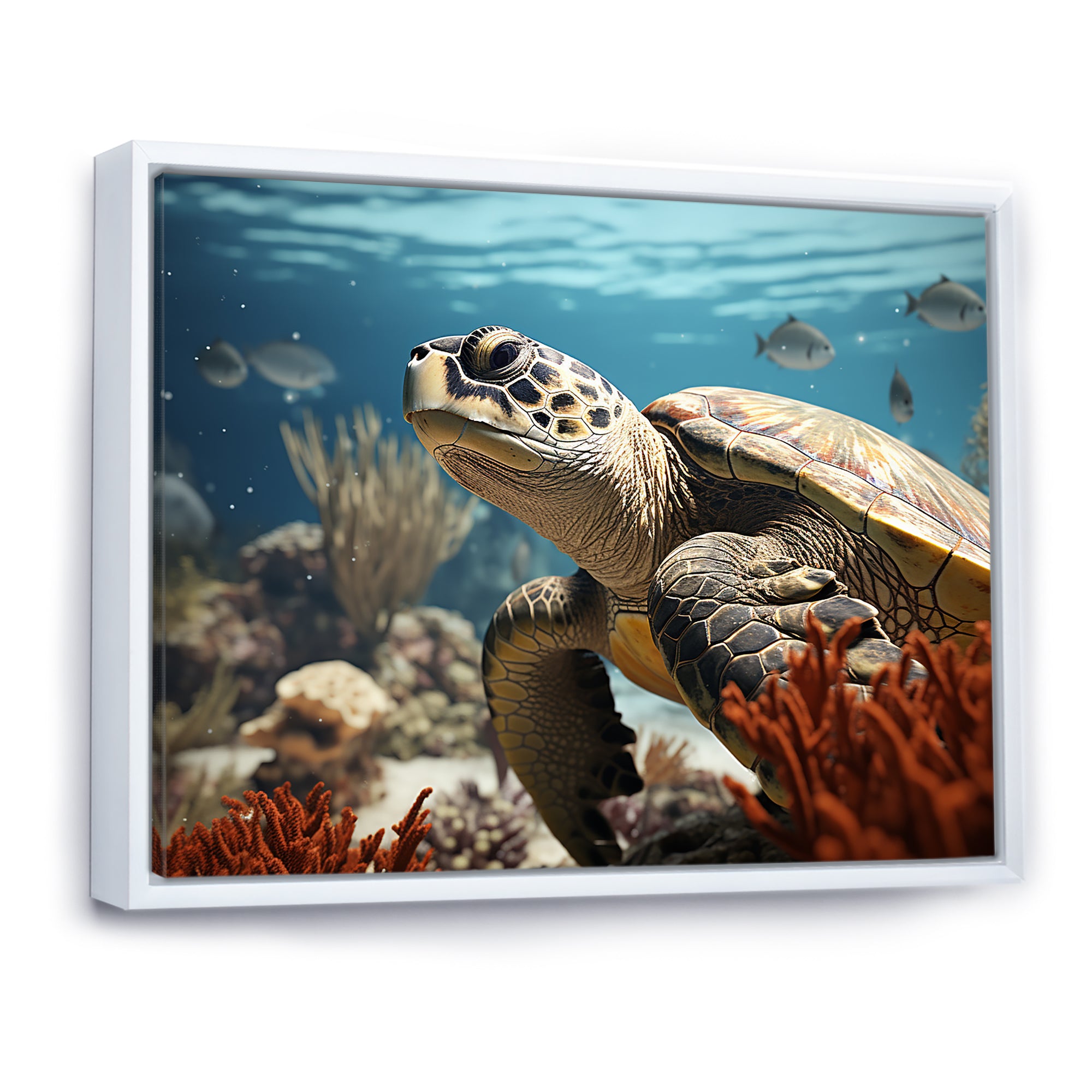 Classic Coastal Life - Turtle Wall Art Prints