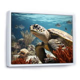 Classic Coastal Life - Turtle Wall Art Prints