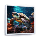 Tranquility Of A Turtle In A Dream - Turtle Framed Canvas Art