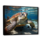 Minimalist Lagoon Turtle - Turtle Wall Art Prints