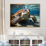 Minimalist Lagoon Turtle - Turtle Wall Art Prints