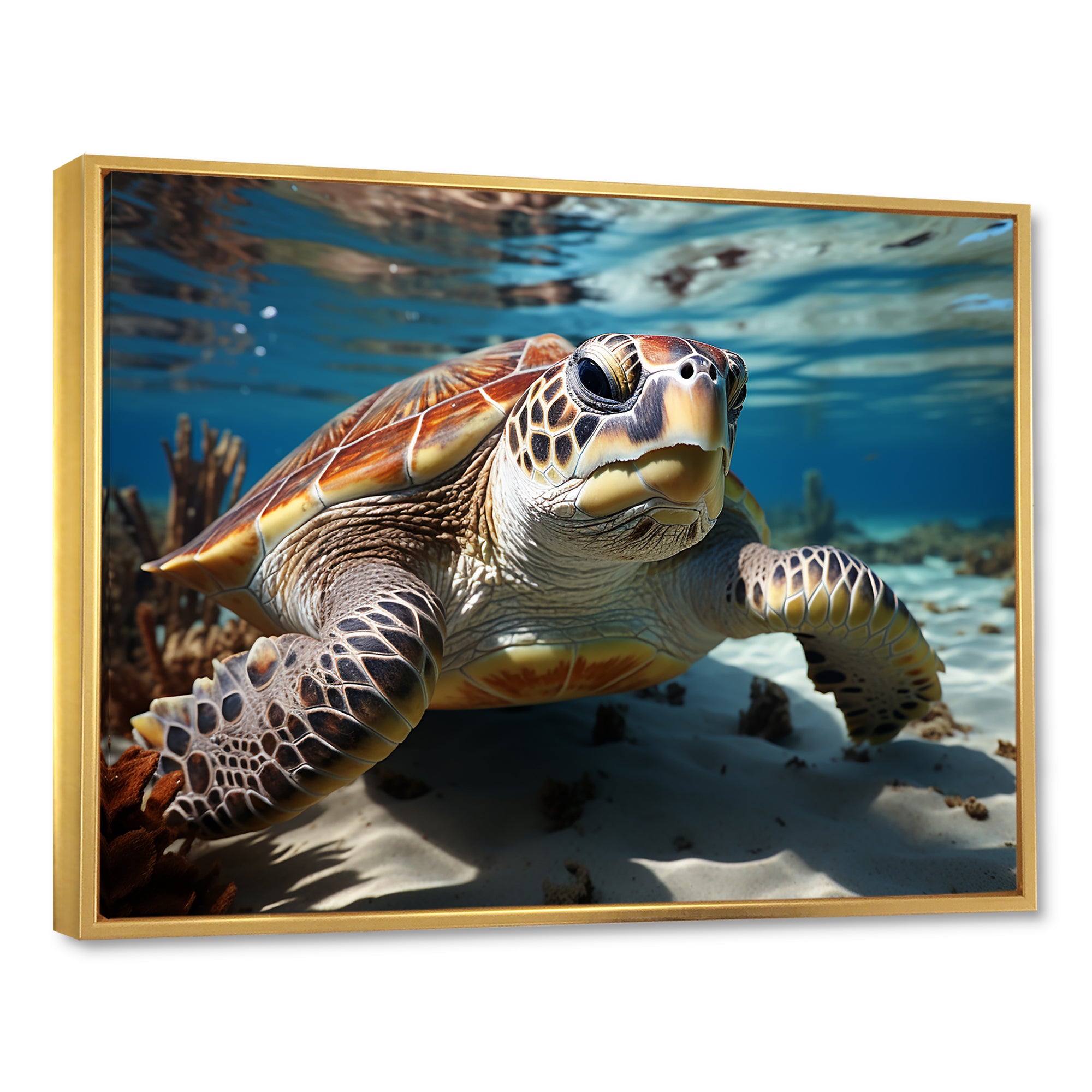 Minimalist Lagoon Turtle - Turtle Wall Art Prints