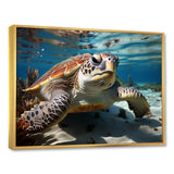 Minimalist Lagoon Turtle - Turtle Wall Art Prints