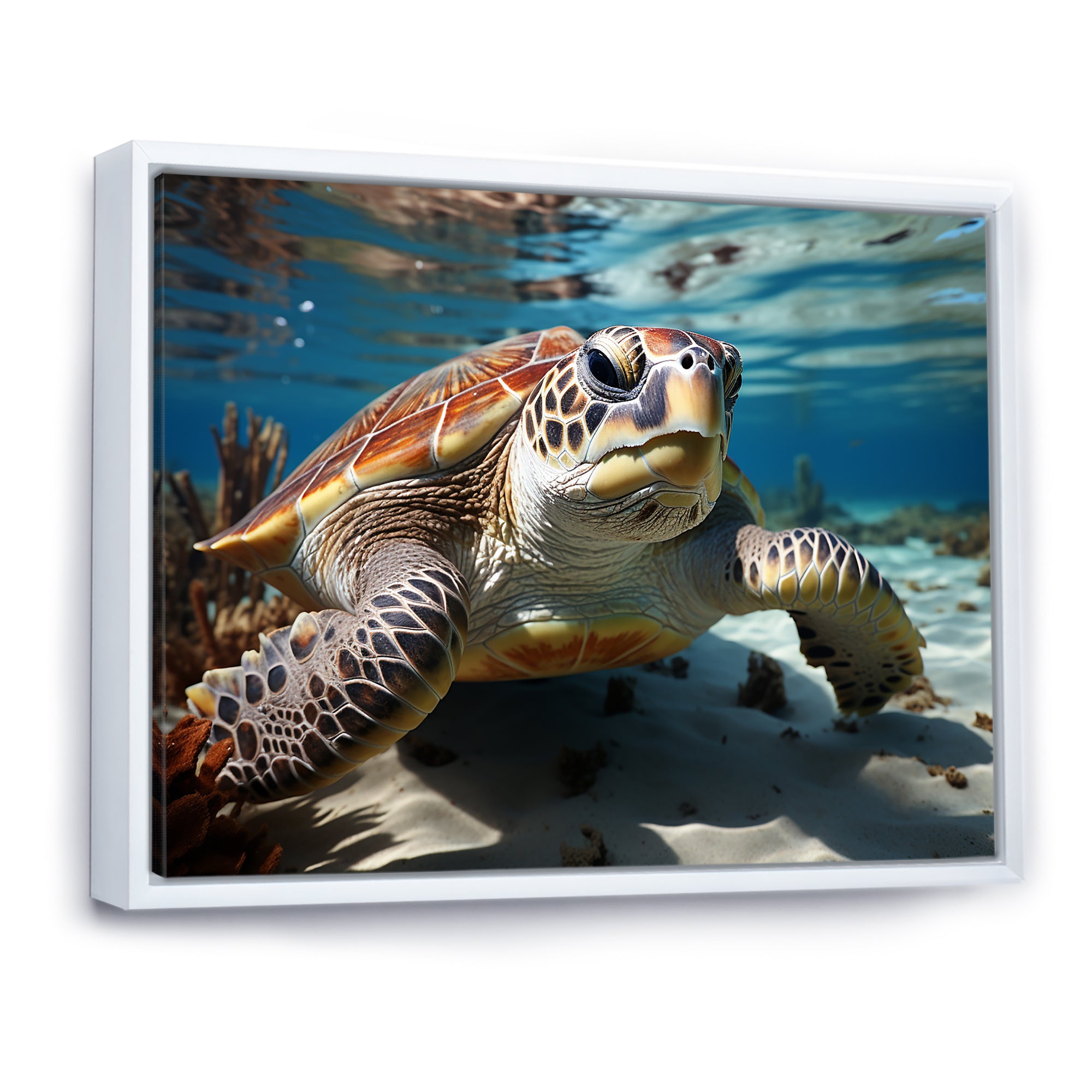 Minimalist Lagoon Turtle - Turtle Wall Art Prints