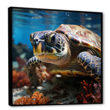 Curious Underwater Sea Turtle - Gray Turtle Wall Art