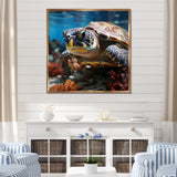 Curious Underwater Sea Turtle - Gray Turtle Wall Art