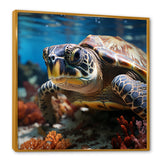 Curious Underwater Sea Turtle - Gray Turtle Wall Art