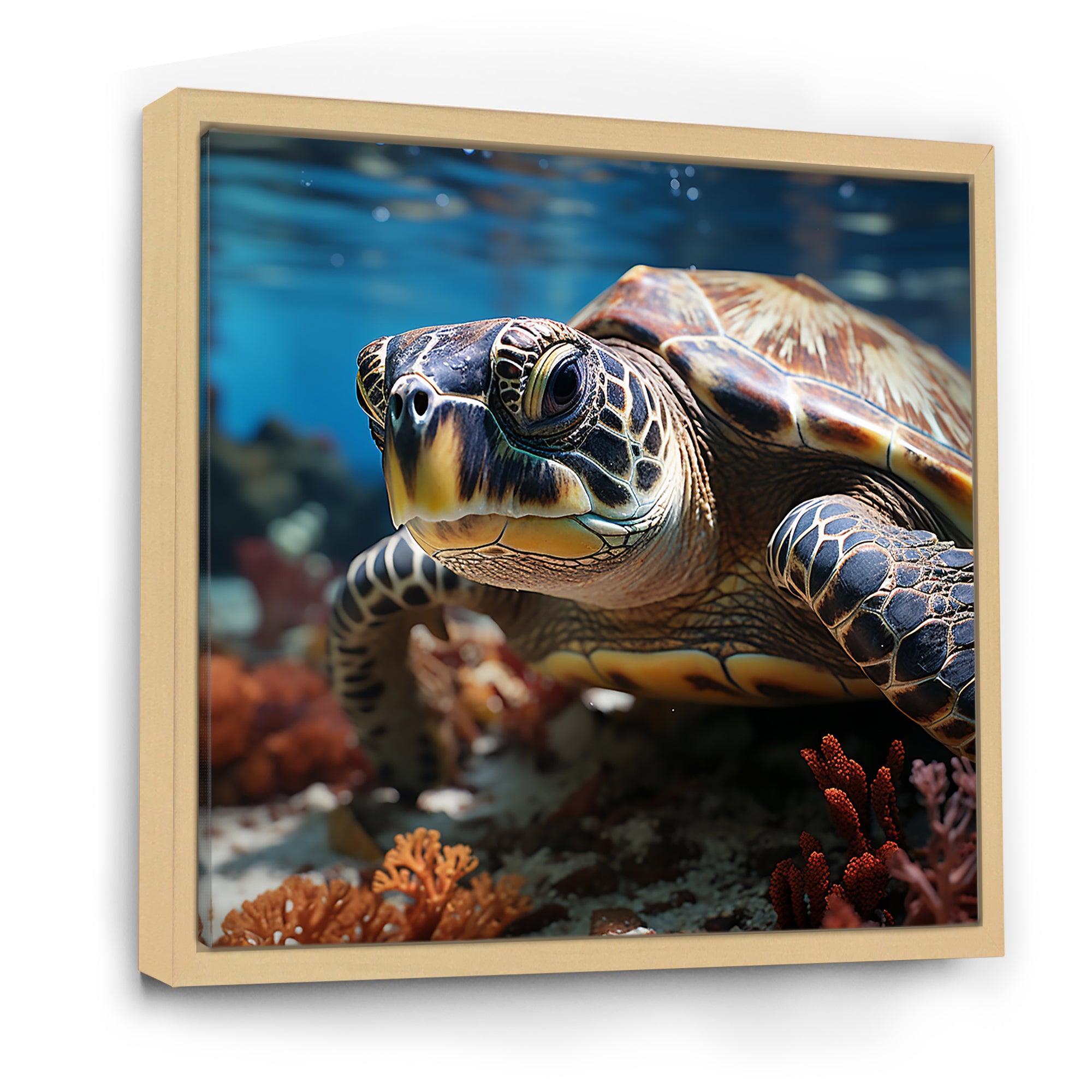 Curious Underwater Sea Turtle - Gray Turtle Wall Art
