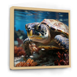 Curious Underwater Sea Turtle - Gray Turtle Wall Art