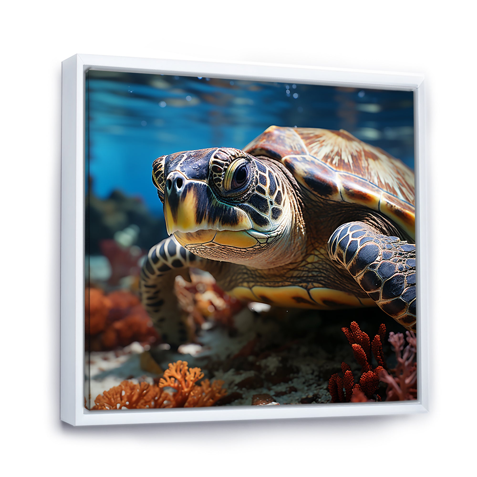 Curious Underwater Sea Turtle - Gray Turtle Wall Art