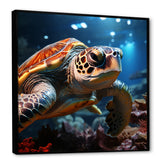 Realistic Portrayal Of A Turtle - Turtle Canvas Wall Art