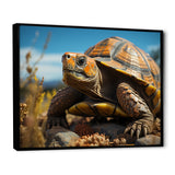 Symbolism - Turtle Living Room Wall Art
