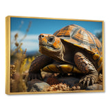 Symbolism - Turtle Living Room Wall Art