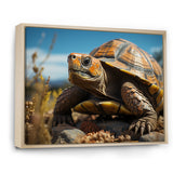 Symbolism - Turtle Living Room Wall Art