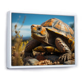 Symbolism - Turtle Living Room Wall Art