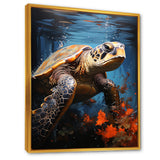 Urban Aquatic Explorer - Turtle Bedroom Wall Art