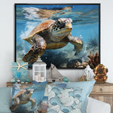 Watercolor Coast - Turtle Canvas Wall Art