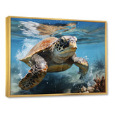 Watercolor Coast - Turtle Canvas Wall Art