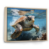 Watercolor Coast - Turtle Canvas Wall Art