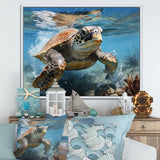 Watercolor Coast - Turtle Canvas Wall Art