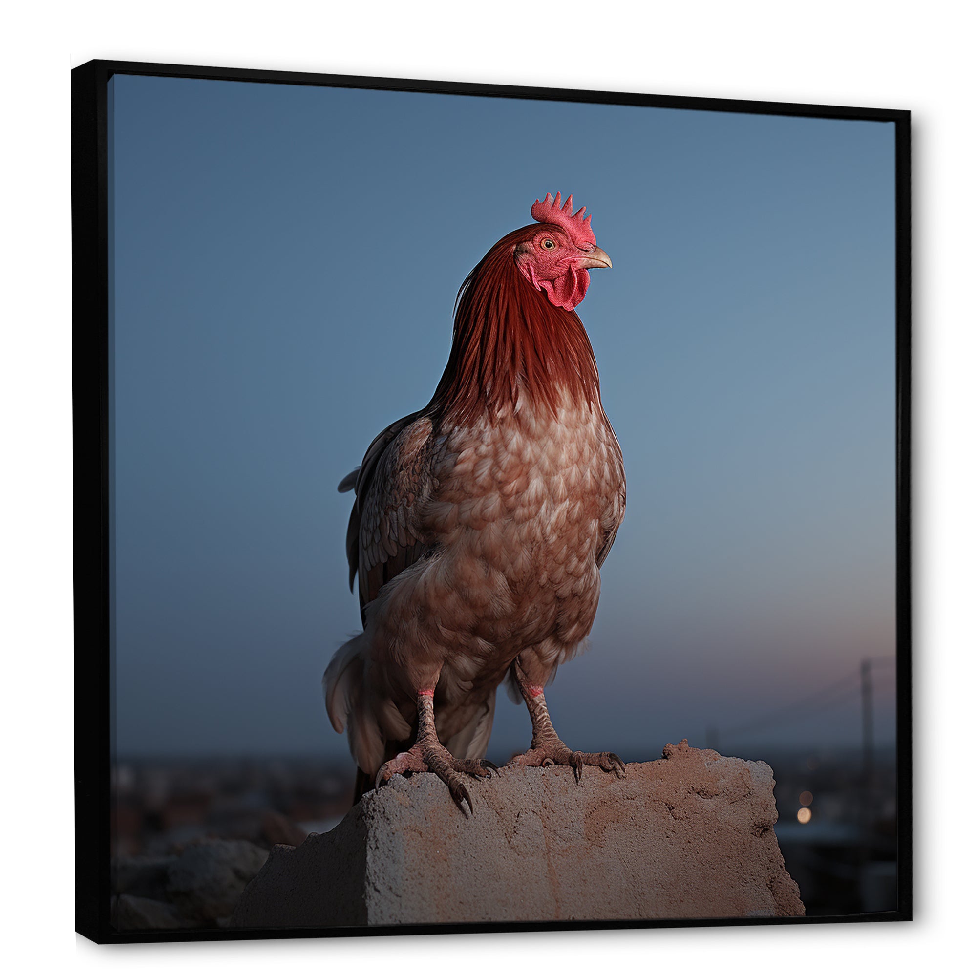 Cock a Doodle Dusk Rooster - Chicken Wall Art Prints