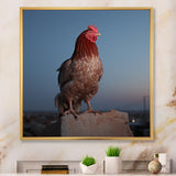 Cock a Doodle Dusk Rooster - Chicken Wall Art Prints