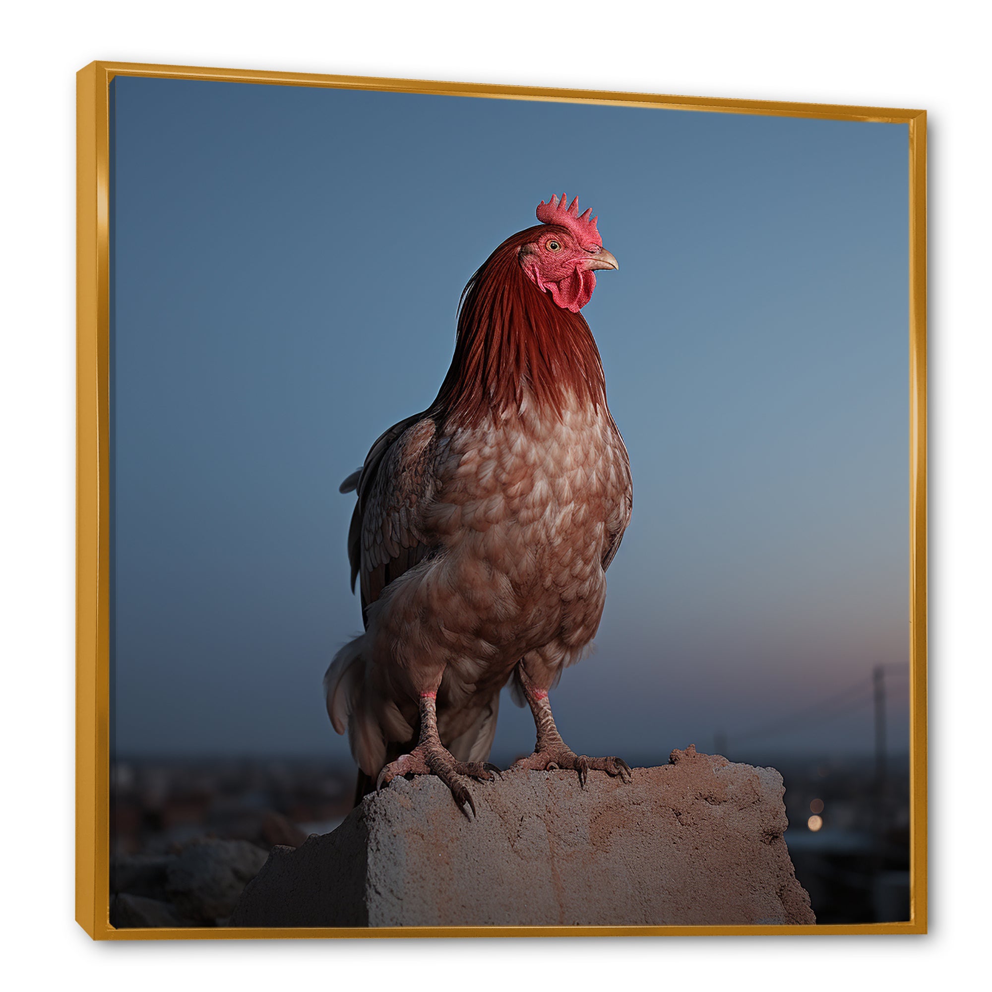 Cock a Doodle Dusk Rooster - Chicken Wall Art Prints