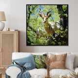 White Portrait of Pastoral Goat in forest - White Goat Wall Art