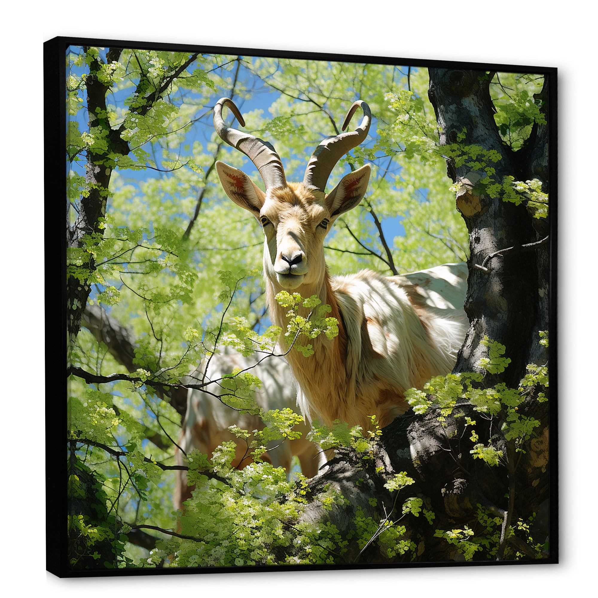 White Portrait of Pastoral Goat in forest - White Goat Wall Art