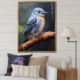 Dusk Plummet bird - Bird Wall Art Prints