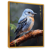 Dusk Plummet bird - Bird Wall Art Prints