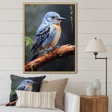Dusk Plummet bird - Bird Wall Art Prints