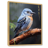 Dusk Plummet bird - Bird Wall Art Prints
