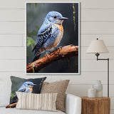Dusk Plummet bird - Bird Wall Art Prints
