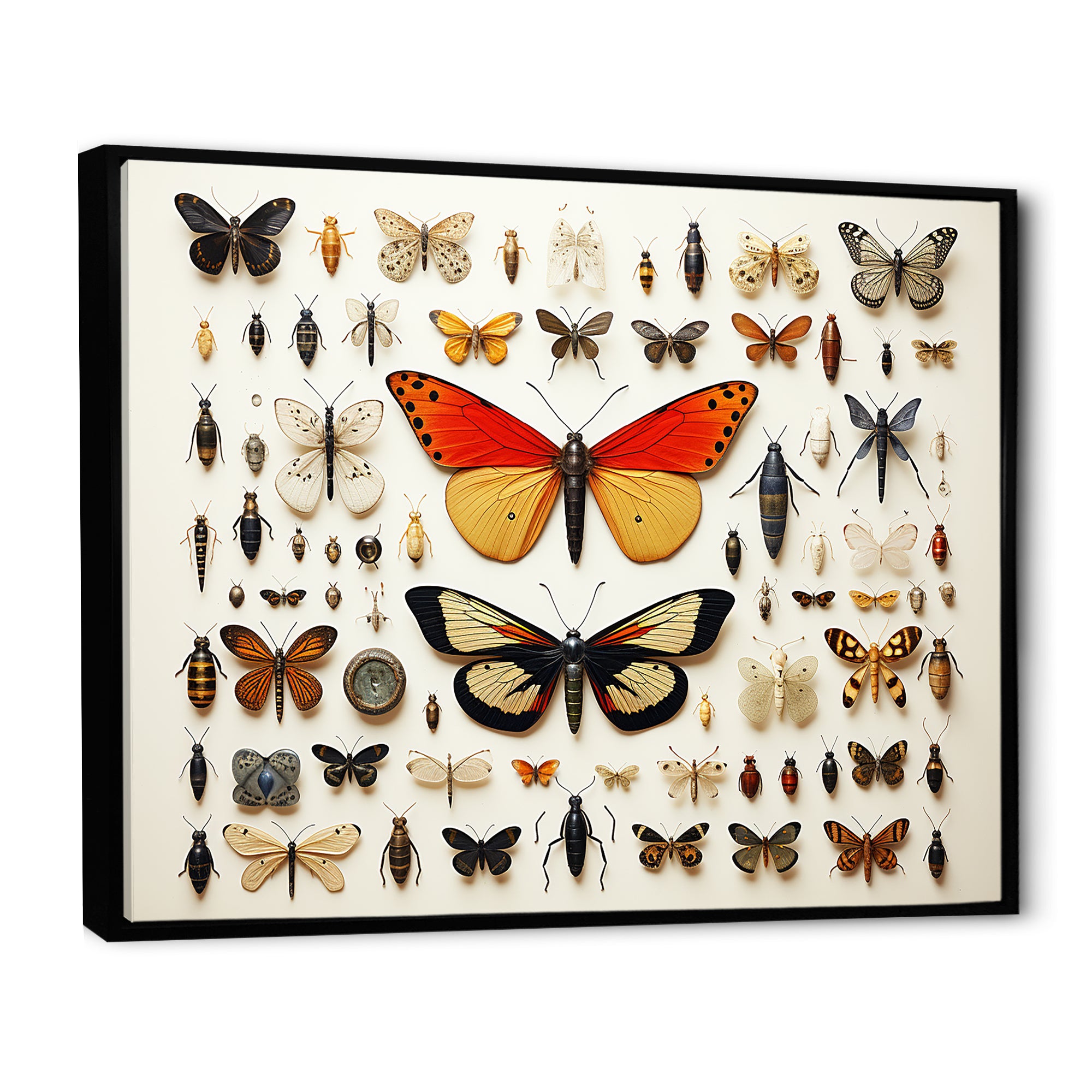 Orange Insects and Bugs - Yellow Insects & Bugs Wall Art