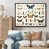 Blue and yellow Insects and Bugs - Insects & Bugs Home Decor Art