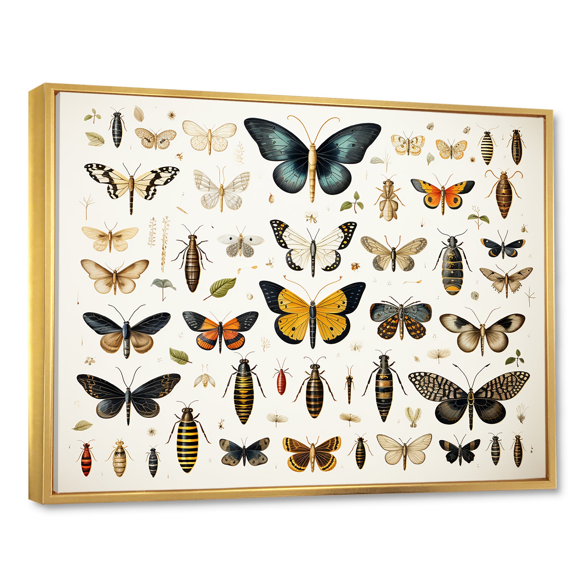 Blue and yellow Insects and Bugs - Insects & Bugs Home Decor Art