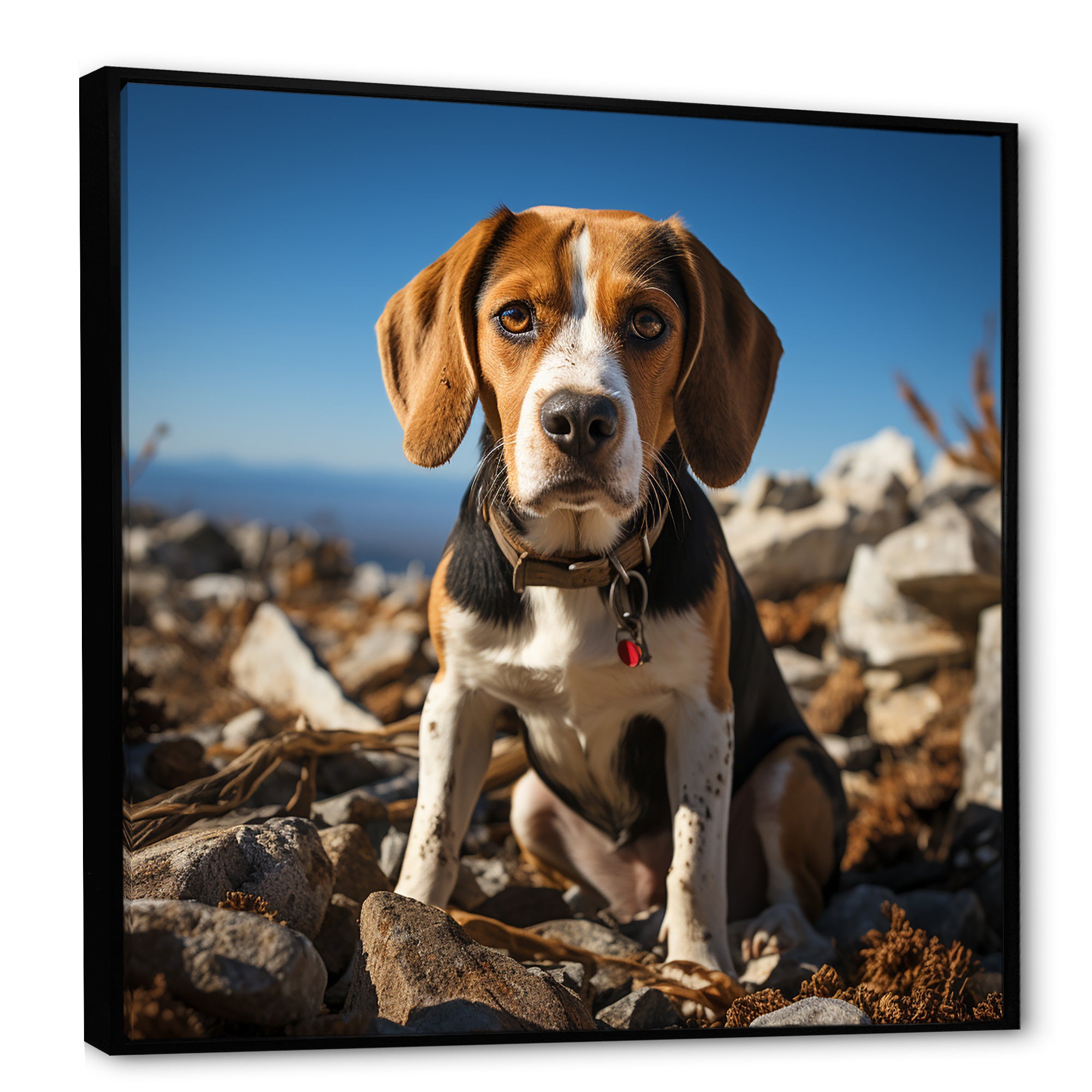 Rescue beagle dog in rocky - Dog Beagle Living Room Wall Art