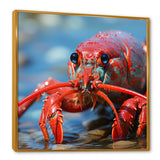 Coastal Crawler Portrait of a Lobster - Lobster Home Decor Art