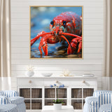 Coastal Crawler Portrait of a Lobster - Lobster Home Decor Art