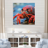 Coastal Crawler Portrait of a Lobster - Lobster Home Decor Art
