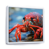 Coastal Crawler Portrait of a Lobster - Lobster Home Decor Art